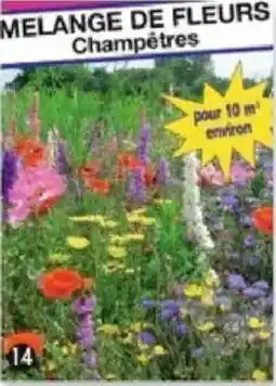 Maximo Mélange de fleurs champêtres offre
