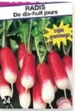 Maximo Radis de 18 jours offre