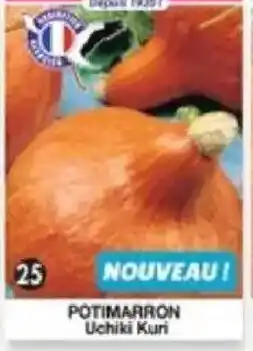 Maximo Potimarron orange summer offre