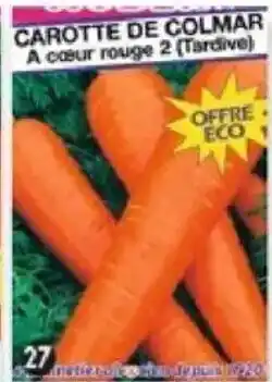 Maximo Carotte de Colmar offre