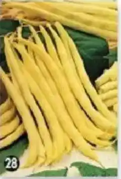 Maximo Haricot beurre de rocquencourt offre