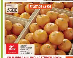 Netto Mandarine offre