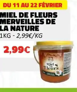 Hmarket Miel de fleurs merveilles de la nature offre