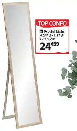 Conforama Psyché Malo offre