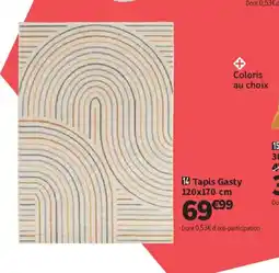 Conforama Tapis Gasty offre
