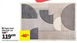 Conforama Tapis Gael offre