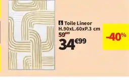 Conforama Toile Lineor offre