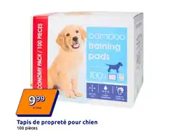 Action Tapis de propreté pour chien offre