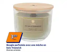 Action TREEWICK Bougie parfumée avec une mèche en bois offre