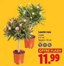Carrefour Market Herta - jambon le bon paris fumé offre