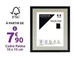 Mr Bricolage Ceanothe cadre palma offre