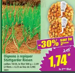 Norma Oignons à repiquer stuttgarter riesen offre