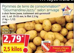 Norma Pommes de terre de consommation ”gourmandine/jazzy” selon arrivage offre