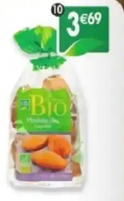 Maximo Madeleines coquilles offre