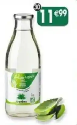 Maximo Jus d'Aloe Vera confort intestinal offre