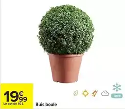 Carrefour Drive Buis boule offre