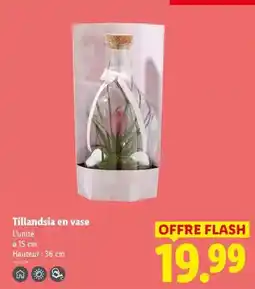 Intermarché Hyper Vrai - yaourt spécialité au lait de brebis bio nature offre