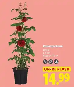 Intermarché Hyper Soignon - yaourt brassé au lait de chèvre mure - framboise offre