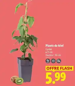 Intermarché Hyper Nestlé - le viennois au chocolat offre decouverte offre