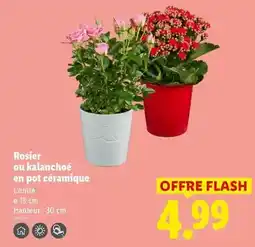 Intermarché Hyper Nestlé - dessert lacté petit nesquik au chocolat offre