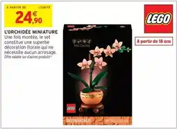 Intermarché Hyper Lego - l'orchidée miniature offre
