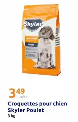 Action Croquettes pour chien skyler poulet offre