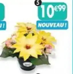 Maximo Pot de dahlias et pensées offre