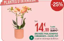 Botanic Orchidée phalaenopsis 2 branches + cache-pot offre