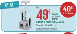 Botanic Arbre à chat oklahoma offre