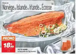 Netto Promo - filet de saumon offre