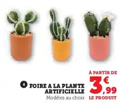 Super U Foire a la plante artificielle offre