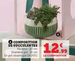Super U Composition de succulentes offre