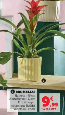 Super U Bromelias offre