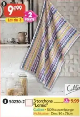 Maximo 3 torchons lamia offre