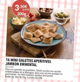 Gel 2000 16 mini galettes aperitives jambon emmental offre