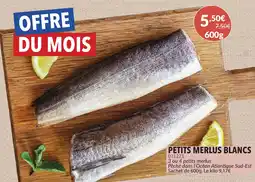 Gel 2000 Petits merlus blancs offre