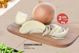 Gel 2000 Oignons eminces offre