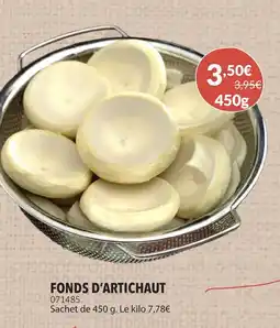 Gel 2000 Fonds d'artichaut offre