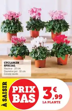 Hyper U Cyclamen special offre