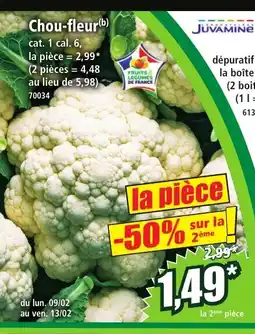 Norma Chou-fleur offre