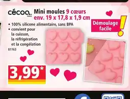 Norma Mini moules 9 cœurs offre