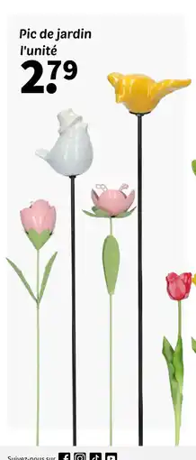 Wibra Pic de jardin offre