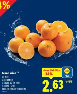 Lidl Mandarine offre