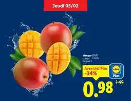 Lidl Mangue offre