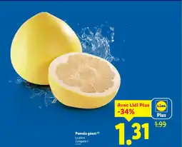 Lidl Pomelo géant offre