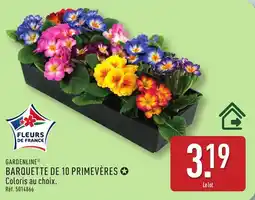 ALDI Gardenline barquette de 10 primevères offre