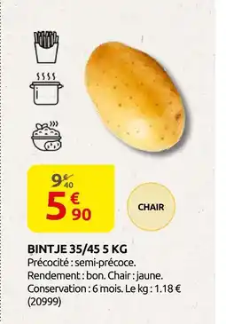 Rural Master Bintje 35/45 5kg offre