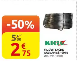 Rural Master Kicio fil d'attache galvanisé 100 m offre