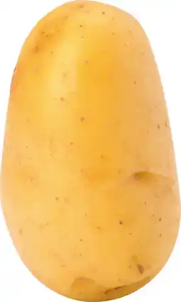 Gamm vert Pomme de terre spunta offre