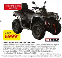 Rural Master Aodes quad pathcross 650 max se gris offre